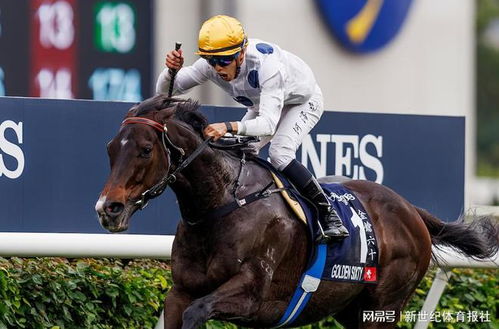 香港特马王资料免费公开|深度分析解释落实_尊贵款.0.796