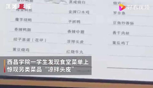 恐怖奶奶LGC菜单版官方下载-恐怖奶奶LGC菜单版0.1折下载v.9.96