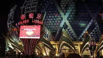 澳门特马开什么号|探索生活中的小技巧_VIP1.542